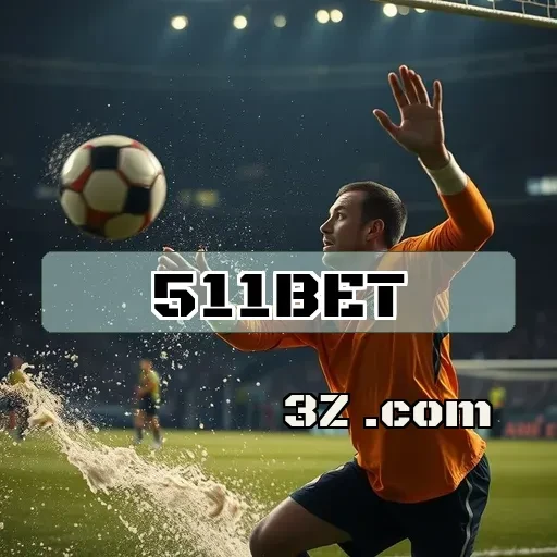 Saque Rápido e Seguro no 511bet login para Você